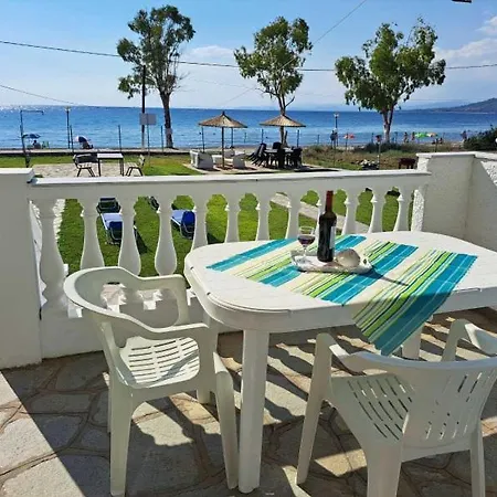 Dimitra's Family 2 * Paradisos